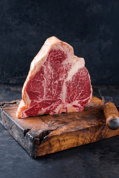 CombiSteel DRY AGE SCHRANK 388L