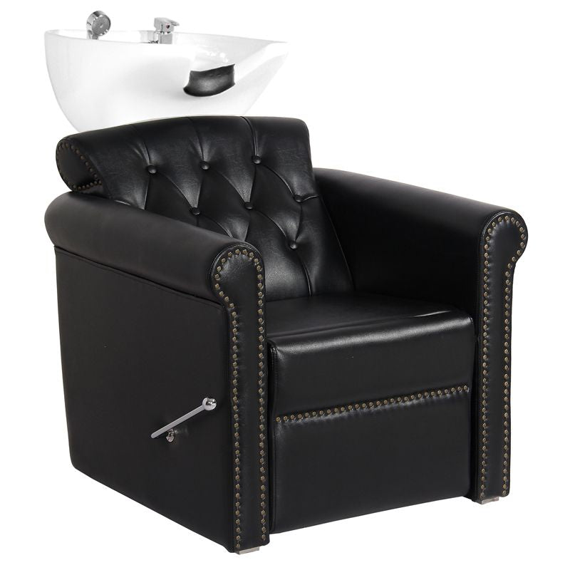 ActiveShop Gabbiano Hundewaschsalon Berlin Lux schwarz