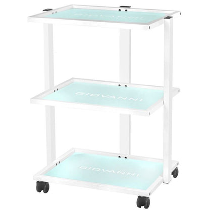 ActiveShop Kosmetikstuhl 202 Basic + Kosmetiktisch 1040 + LED-Lupe S5