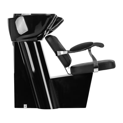 ActiveShop Gabbiano Hundewaschanlage Lyon schwarz