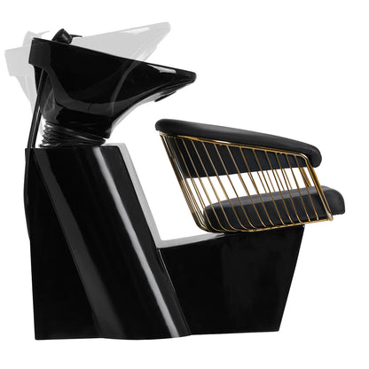 ActiveShop Gabbiano Hundewaschsalon Lille - Gold Schwarz