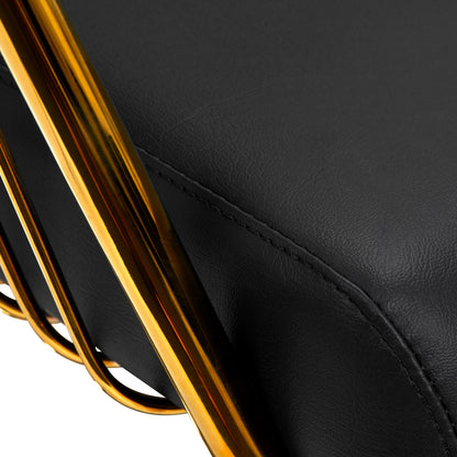 ActiveShop Gabbiano Friseurstuhl Lille gold schwarz
