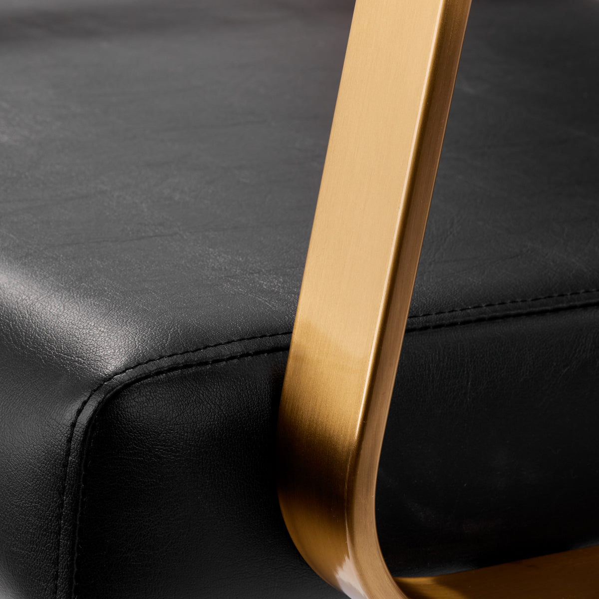 ActiveShop Gabbiano Hundewäsche Porto Gold Schwarz