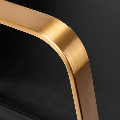 ActiveShop Gabbiano Hundewäsche Porto Gold Schwarz
