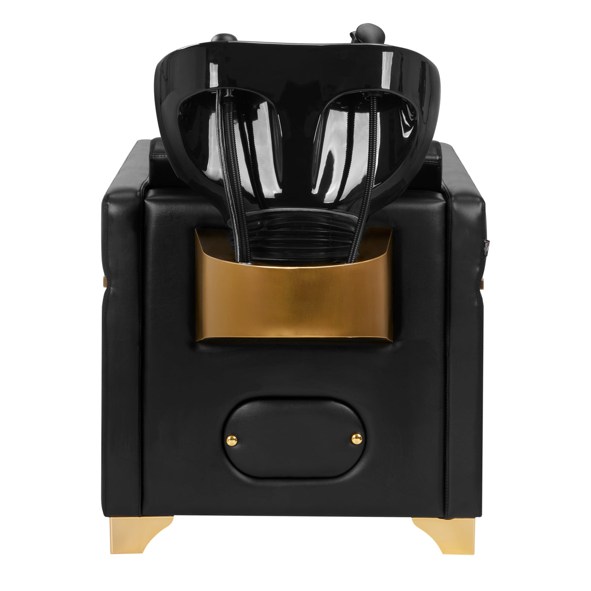 ActiveShop Gabbiano Hundewaschanlage Toledo Gold Schwarz / Schwarz