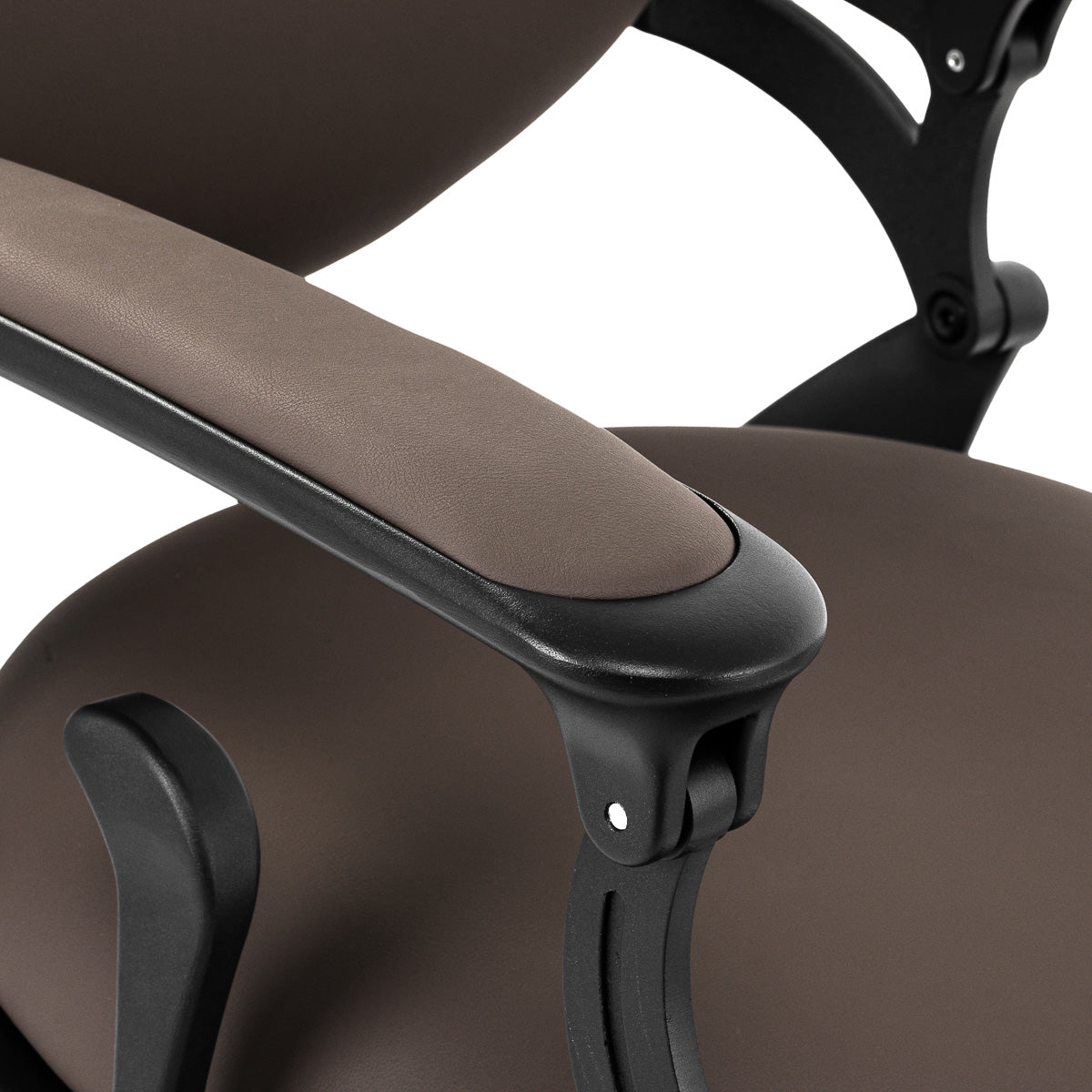 ActiveShop Gabbiano Barbersessel Niccolo braun ohne Knöpfe